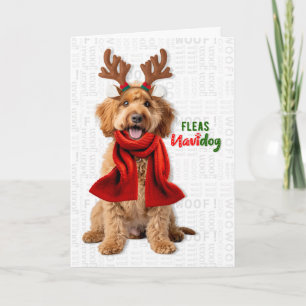 Labradoodle Hond Grappige Vlooien Navidog Kerstmis Feestdagen Kaart