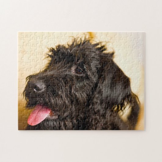 Labradoodle hond. legpuzzel (Horizontaal)
