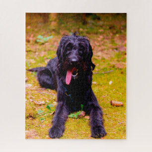 Labradoodle hond. legpuzzel
