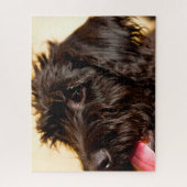 Labradoodle hond. legpuzzel (Verticaal)
