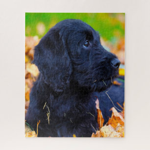 Labradoodle hond. legpuzzel