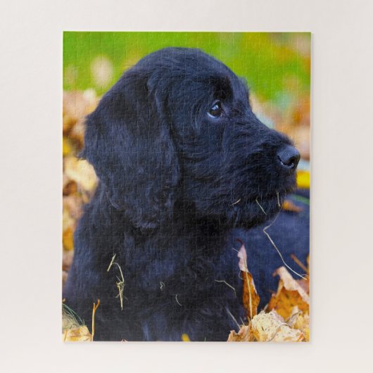 Labradoodle hond. legpuzzel (Verticaal)