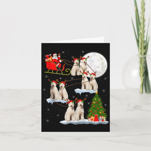 Labradoodle Hond Sinterklaas slee Flying Grappig M Kaart (Voorkant)
