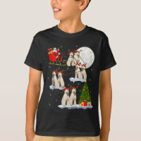 Labradoodle hond Sinterklaas slee vliegend grappig