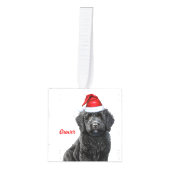 Labradoodle Hond Twee Foto Kerstvakantie Decoratie (Voorkant)