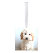Labradoodle Hond Twee Foto Kerstvakantie Decoratie (Rechts)
