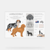 Labradoodle hondenmix acryl bord (Voorkant)