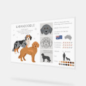 Labradoodle hondenmix acryl bord (Hoek)