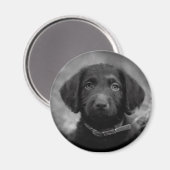 Labradoodle in B&W Badge Magneet (Voorkant / Achterkant)
