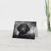 Labradoodle in B&W Notecard Kaart (Voorkant)
