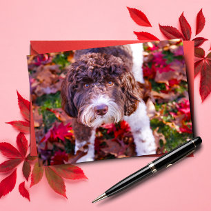 Labradoodle in de herfst kaart