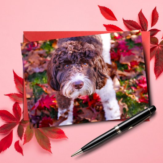 Labradoodle in de herfst kaart