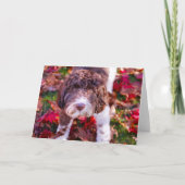 Labradoodle in de herfst kaart (Voorkant)