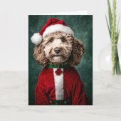 Labradoodle in feestelijke kerstkleding (Voorkant)