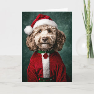 Labradoodle in feestelijke kerstkleding