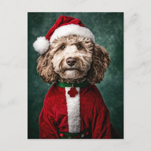 Labradoodle in feestelijke kerstkleding briefkaart (Voorkant)