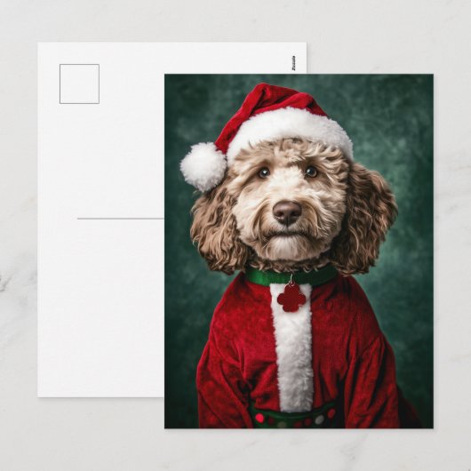 Labradoodle in feestelijke kerstkleding feestdagenkaart (Voorkant / Achterkant)