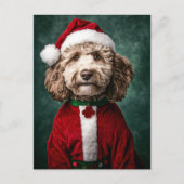 Labradoodle in feestelijke kerstkleding feestdagenkaart (Voorkant)