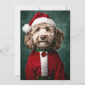 Labradoodle in feestelijke kerstkleding kaart (Voorkant)