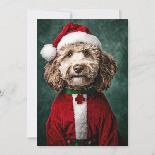 Labradoodle in feestelijke kerstkleding kaart (Voorkant)