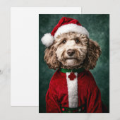 Labradoodle in feestelijke kerstkleding kaart (Voorkant / Achterkant)