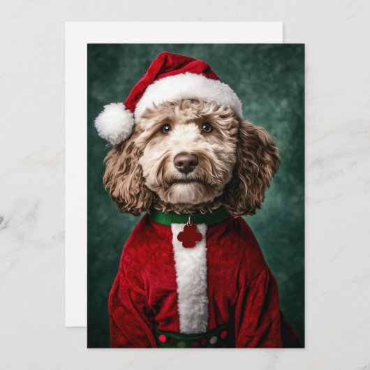 Labradoodle in feestelijke kerstkleding kaart (Voorkant / Achterkant)