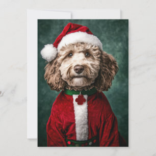 Labradoodle in feestelijke kerstkleding kaart