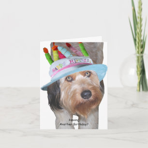 Labradoodle in het Pet van Birthday Kaart