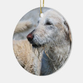Labradoodle - Izzy Keramisch Ornament (Links)