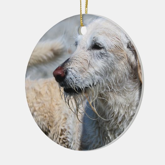 Labradoodle - Izzy Keramisch Ornament (Links)