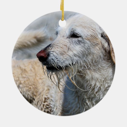 Labradoodle - Izzy Keramisch Ornament (Achterkant)