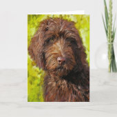 labradoodle-kaart kaart (Voorkant)