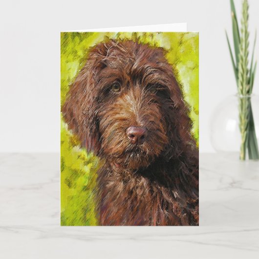 labradoodle-kaart kaart (Voorkant)