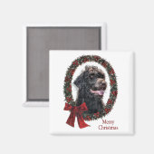 Labradoodle kerstcadeaus magneet (Voorkant / Achterkant)