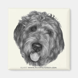 Labradoodle Magneet