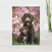 Labradoodle Moeder Moederdag Liefde Kaart (Voorkant)