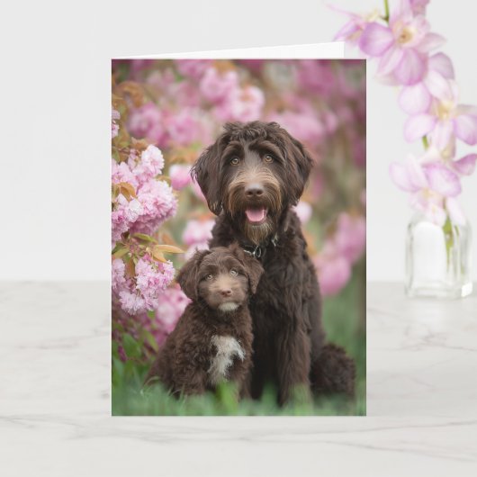 Labradoodle Moeder Moederdag Liefde Kaart (Orchidee)