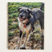 Labradoodle Planner (Voorkant)