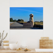 Labradoodle Poster (Keuken)