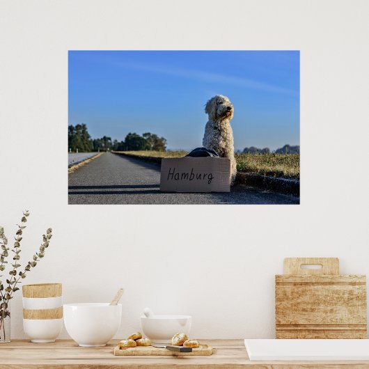 Labradoodle Poster (Keuken)