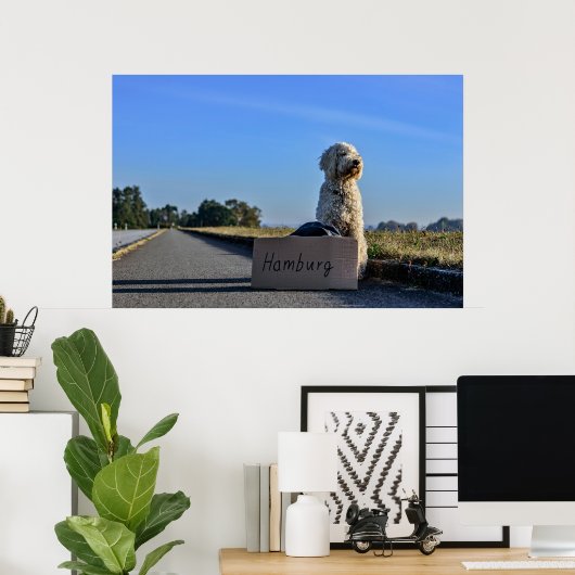 Labradoodle Poster (Thuiskantoor)
