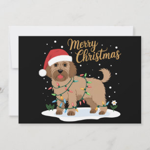 Labradoodle Prettig Kerstmis Grappige Kerstmis Hon Feestdagenkaart