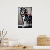 Labradoodle Puppy gaat voor Walk Poster (Keuken)