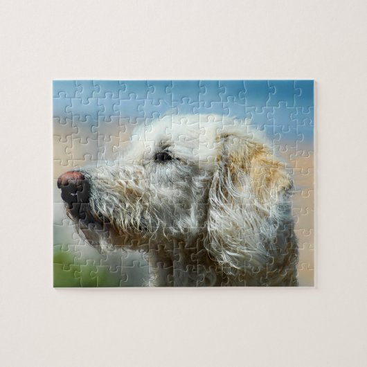 Labradoodle Puppy Legpuzzel (Horizontaal)