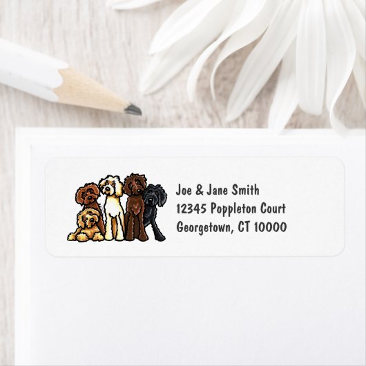 Labradoodle Rainbow Etiket (Insitu)