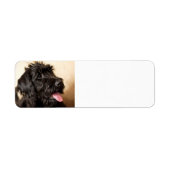 Labradoodle Return Address Label (Voorkant)