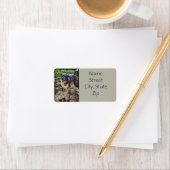 Labradoodle Return Address Label (Insitu)