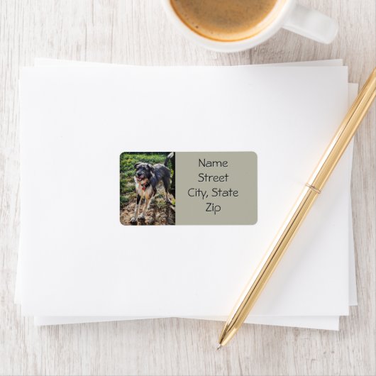 Labradoodle Return Address Label (Insitu)