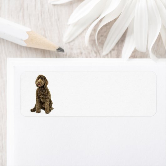 Labradoodle Return Address Label (Insitu)