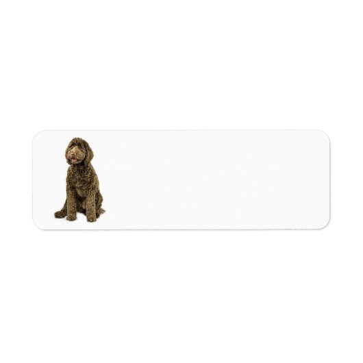 Labradoodle Return Address Label (Voorkant)